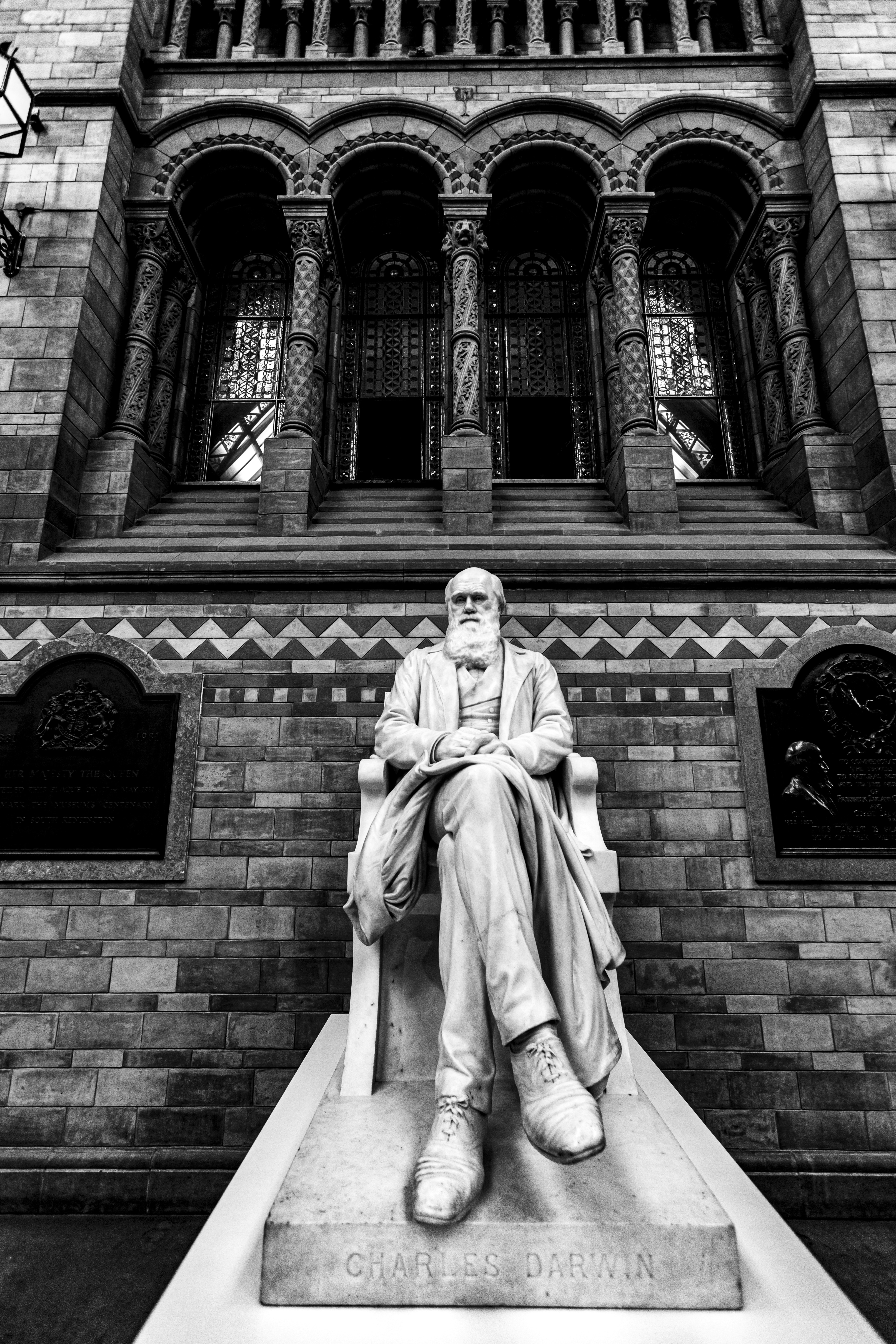 Homo dignus steps forward: Dignity-First Sustainability Leadership