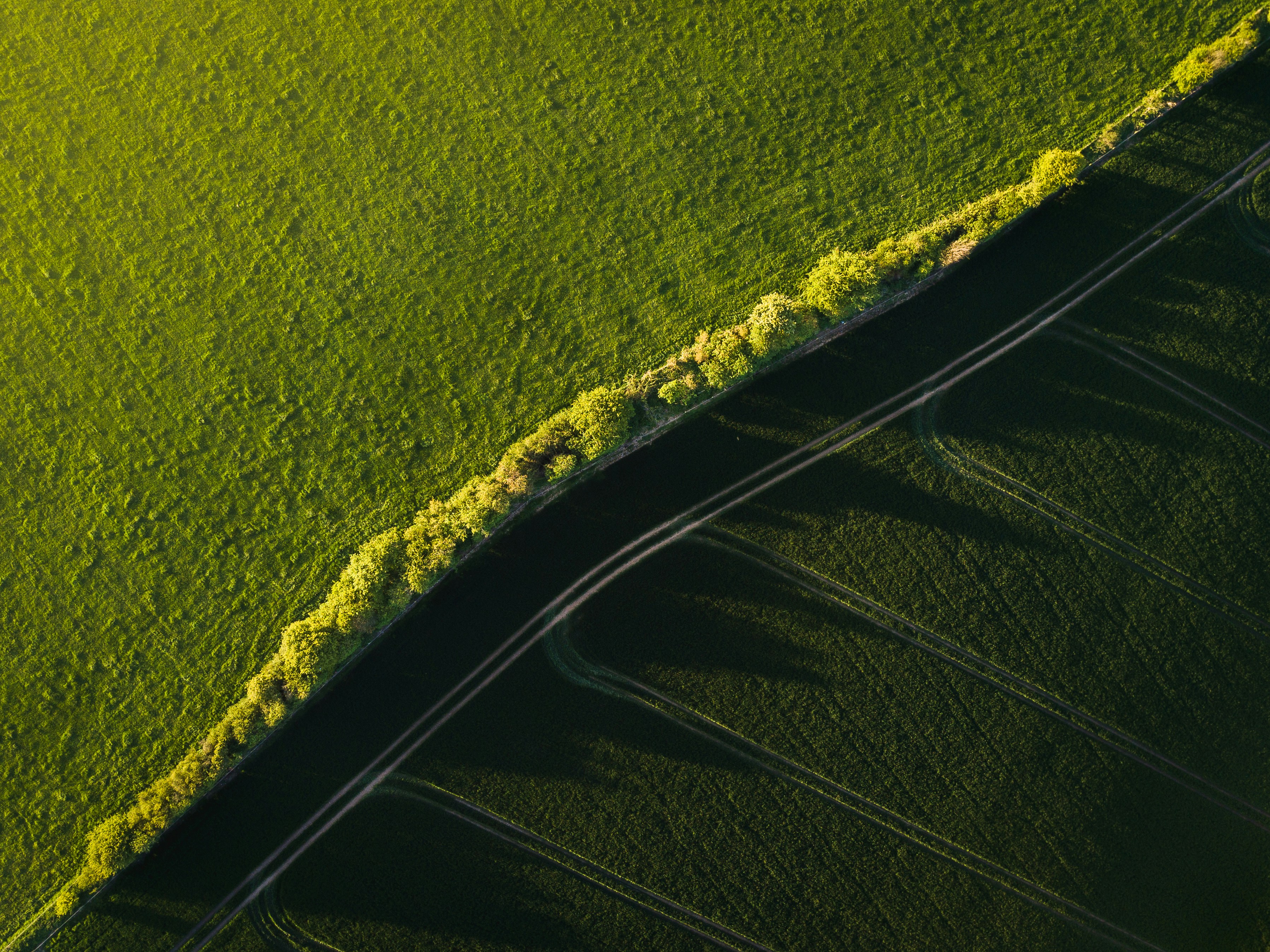 Call the Audit Meeting:&nbsp;Introducing SR's Comprehensive Compliance Collaborative