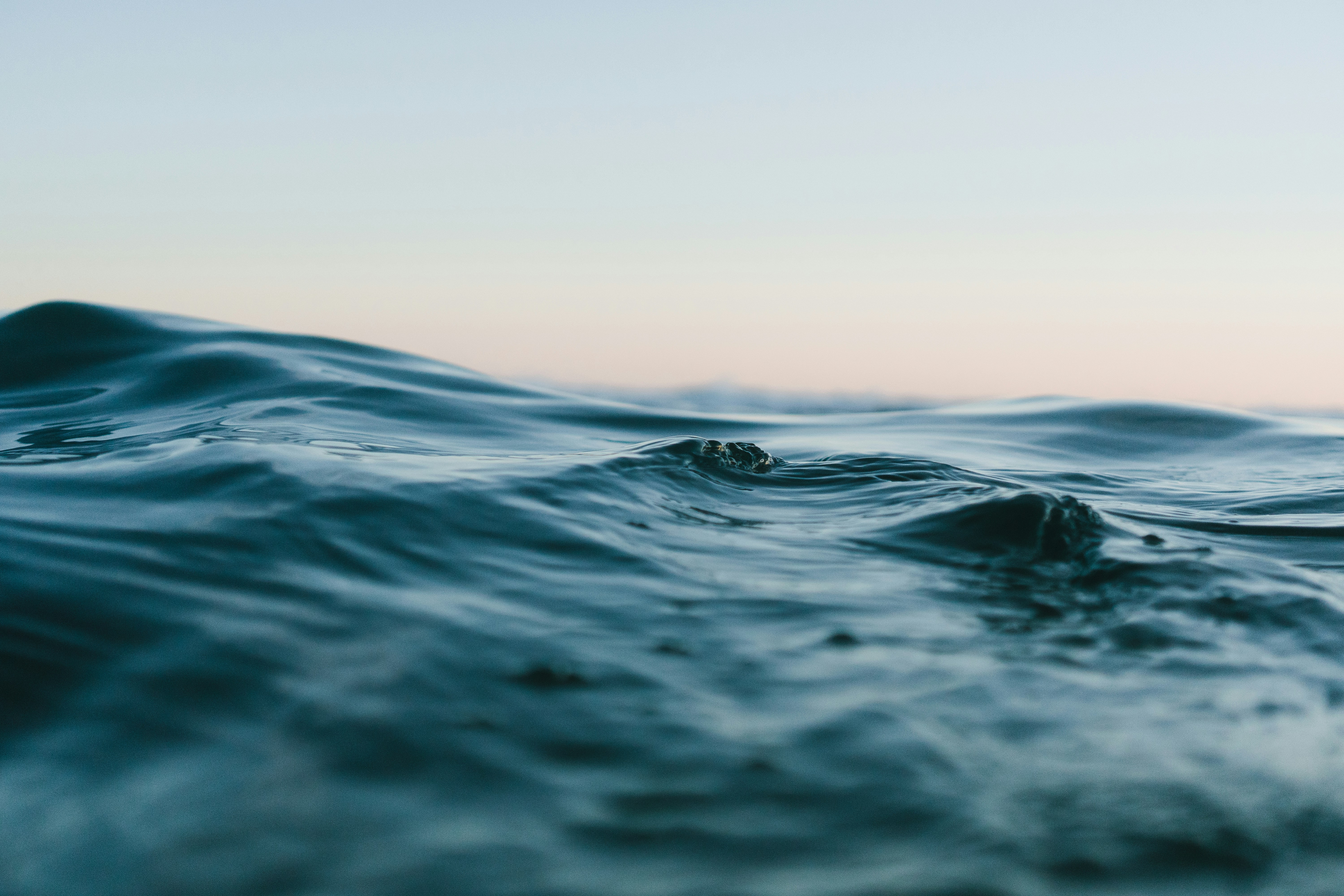 Making Corporate Sustainability Incorruptible
